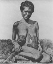 Les Aborigènes, le dingo et la chasse